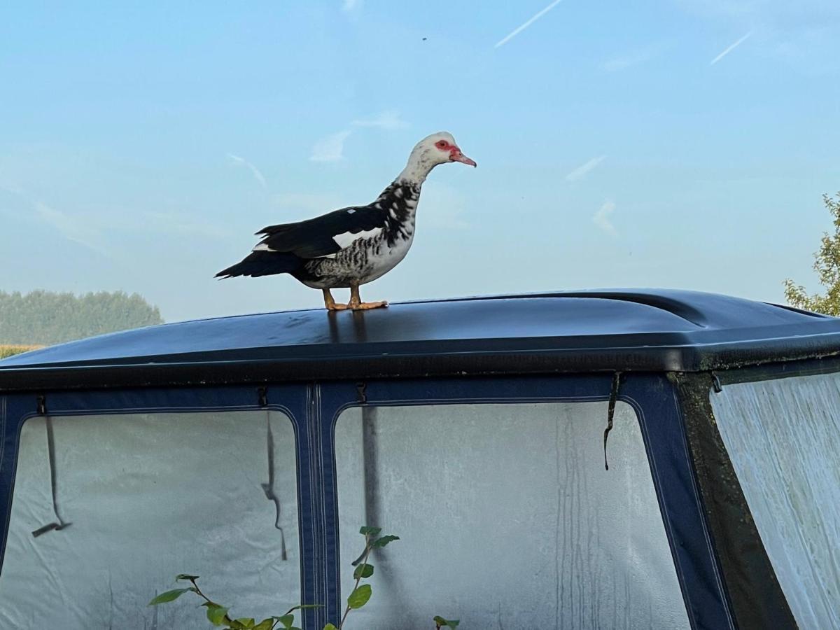 Parel Van Bever - Perle De Bievene Eksteriør bilde
